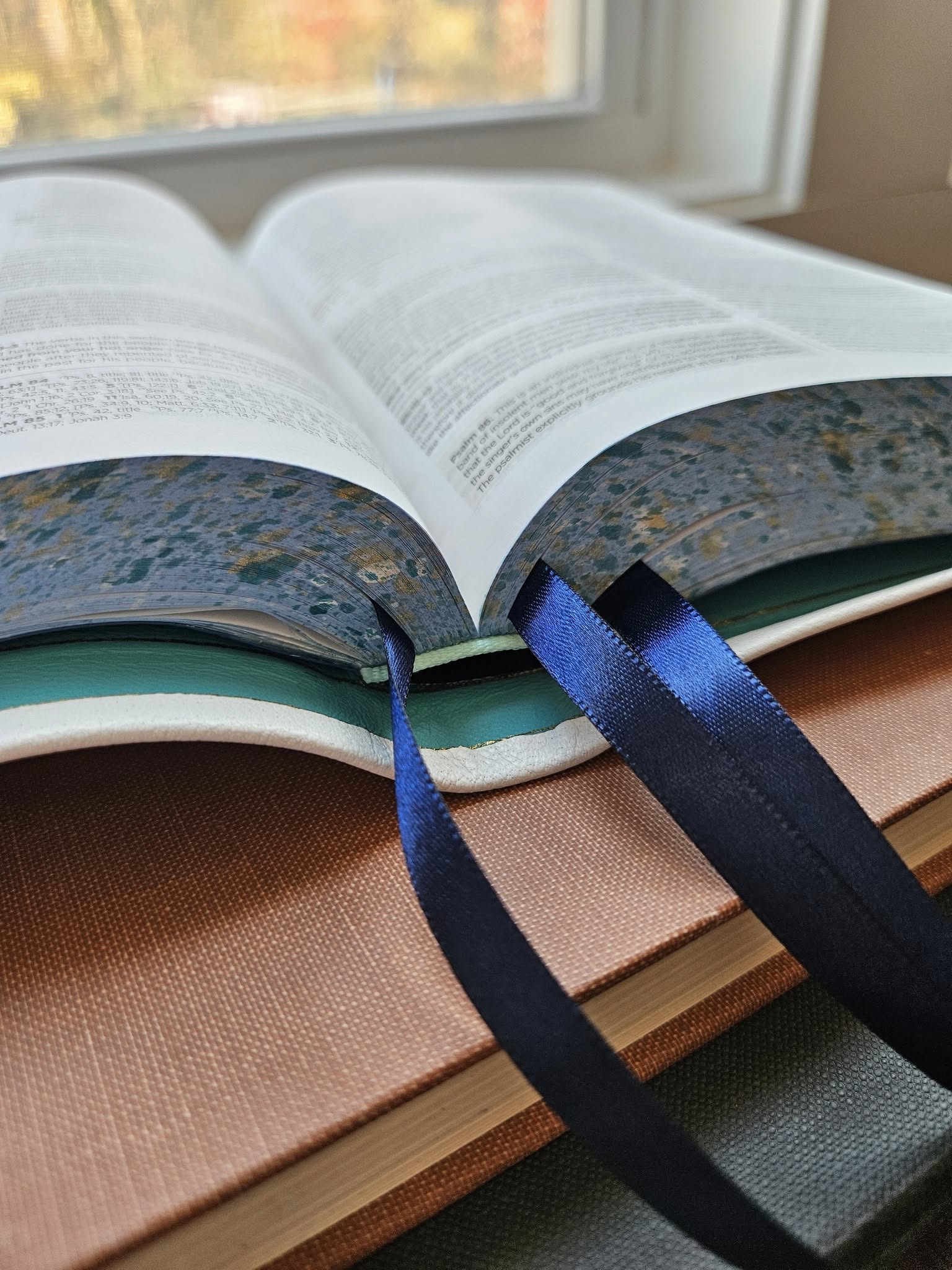 Gallery Bible